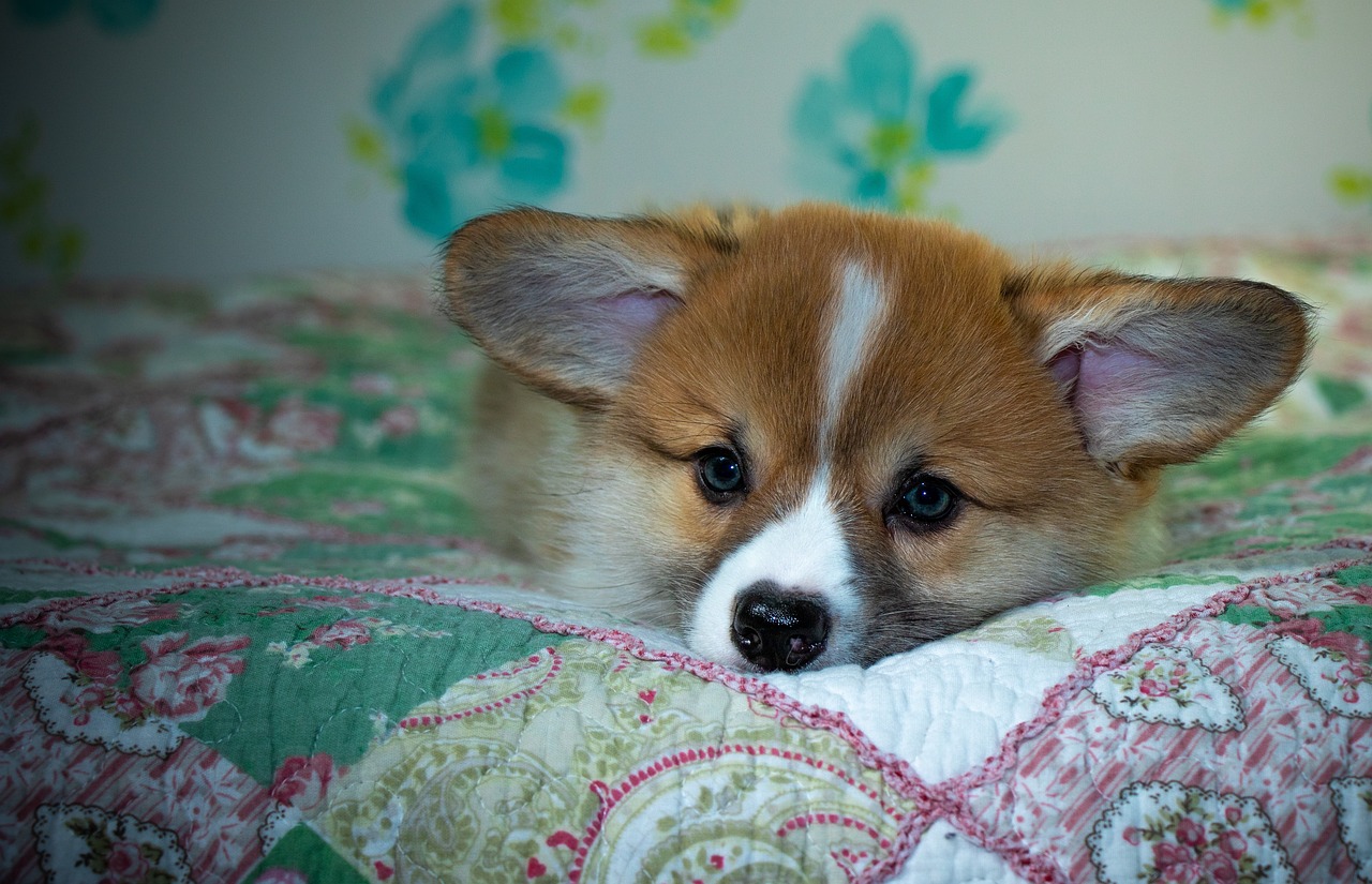 99exch Review: India's Leading Crypto Exchange, Its Features, and Partnerships